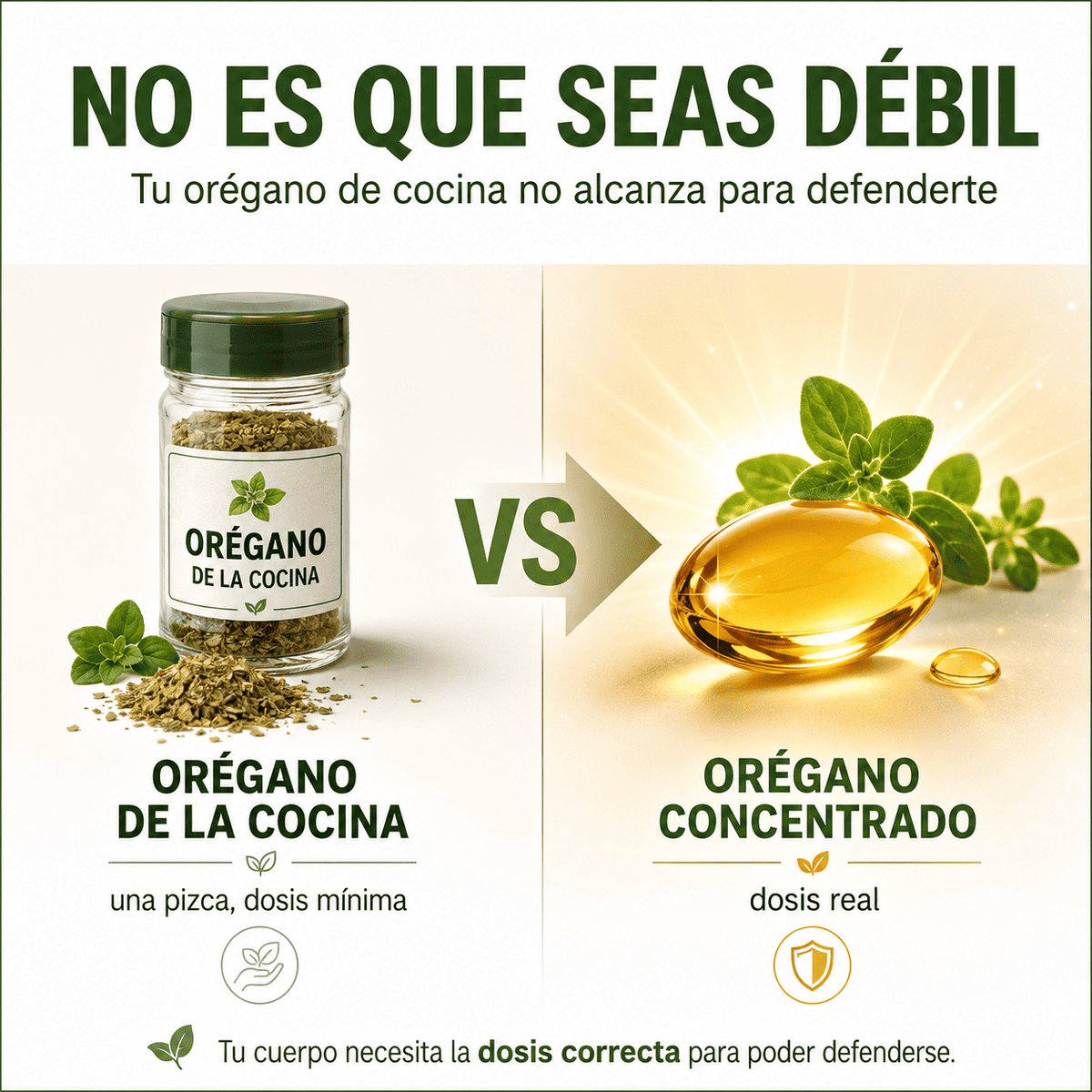Oregano Oil Capsulas
